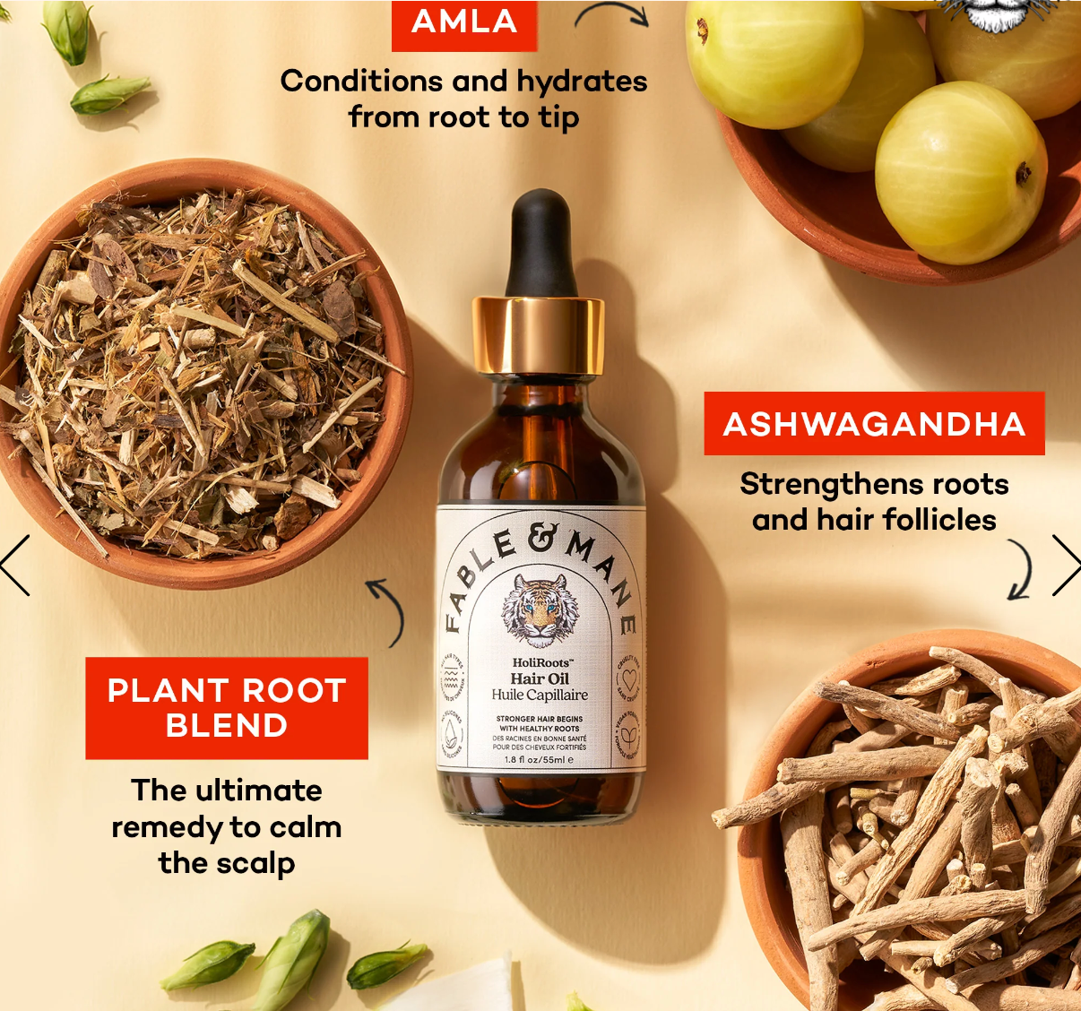 FABLE & MANE HoliRoots™ Hair Oil 55ml