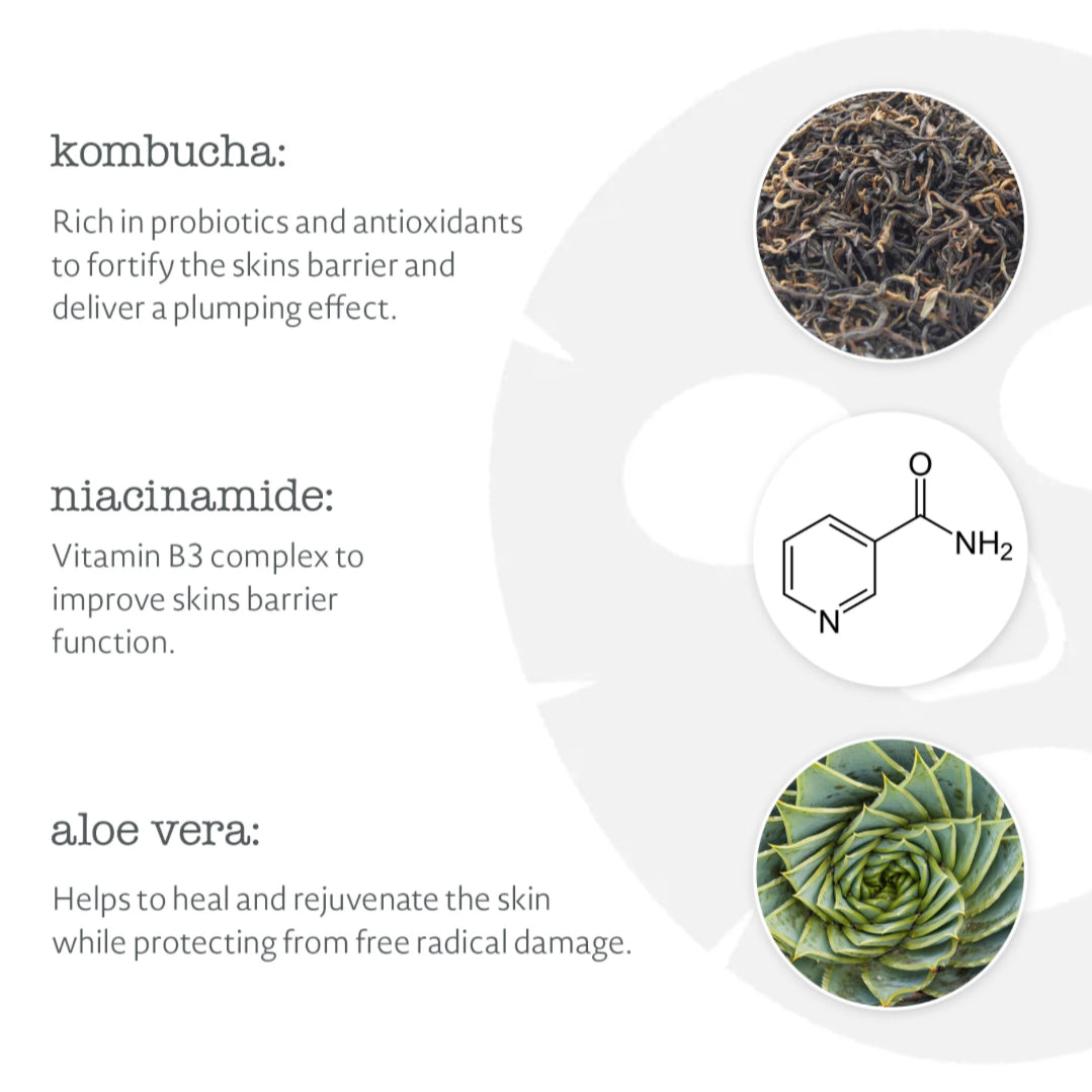 Elemental Herbology Nutrition Infusion Sheet Mask (Single Pack)