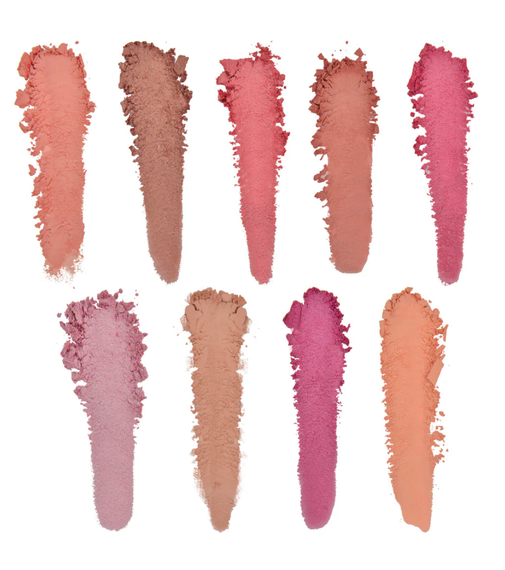 Steve Laurant Celebration Palette